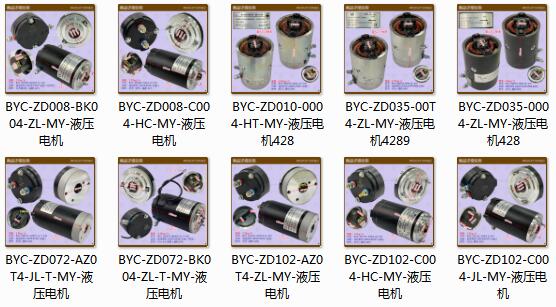 三類車液壓電機(jī)